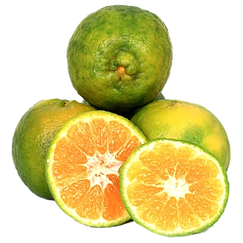 ORANGE NAGPUR - .500
