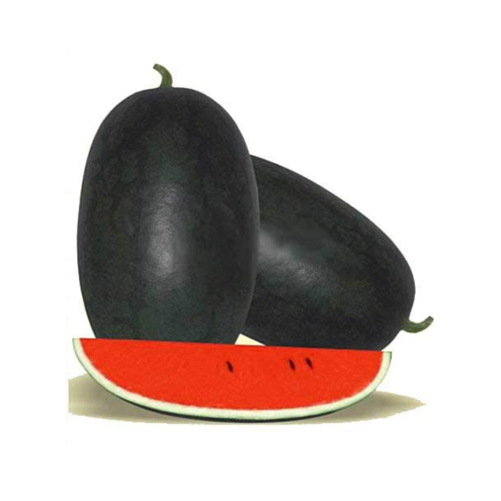 WATER MELON 1 pcs (1.5 to 2.5 kg )