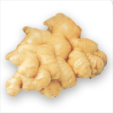 Ginger New 100 gm