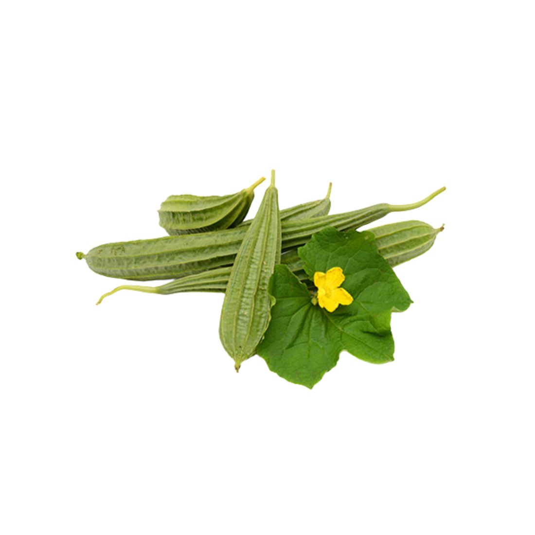 KANTA TORI - (500g)