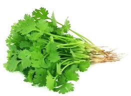 Coriander (Dhania)Approx - 100gm-120gm