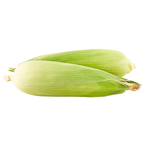 BHUTTA 1 Pcs