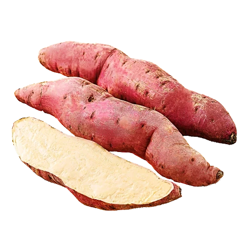 Sweet Potato 500