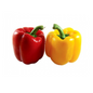 Red and Yellow Capsicum 2 pcs (200-400 gm )