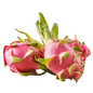 Dragon Fruit  1 Pcs