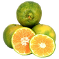 ORANGE NAGPUR - .500