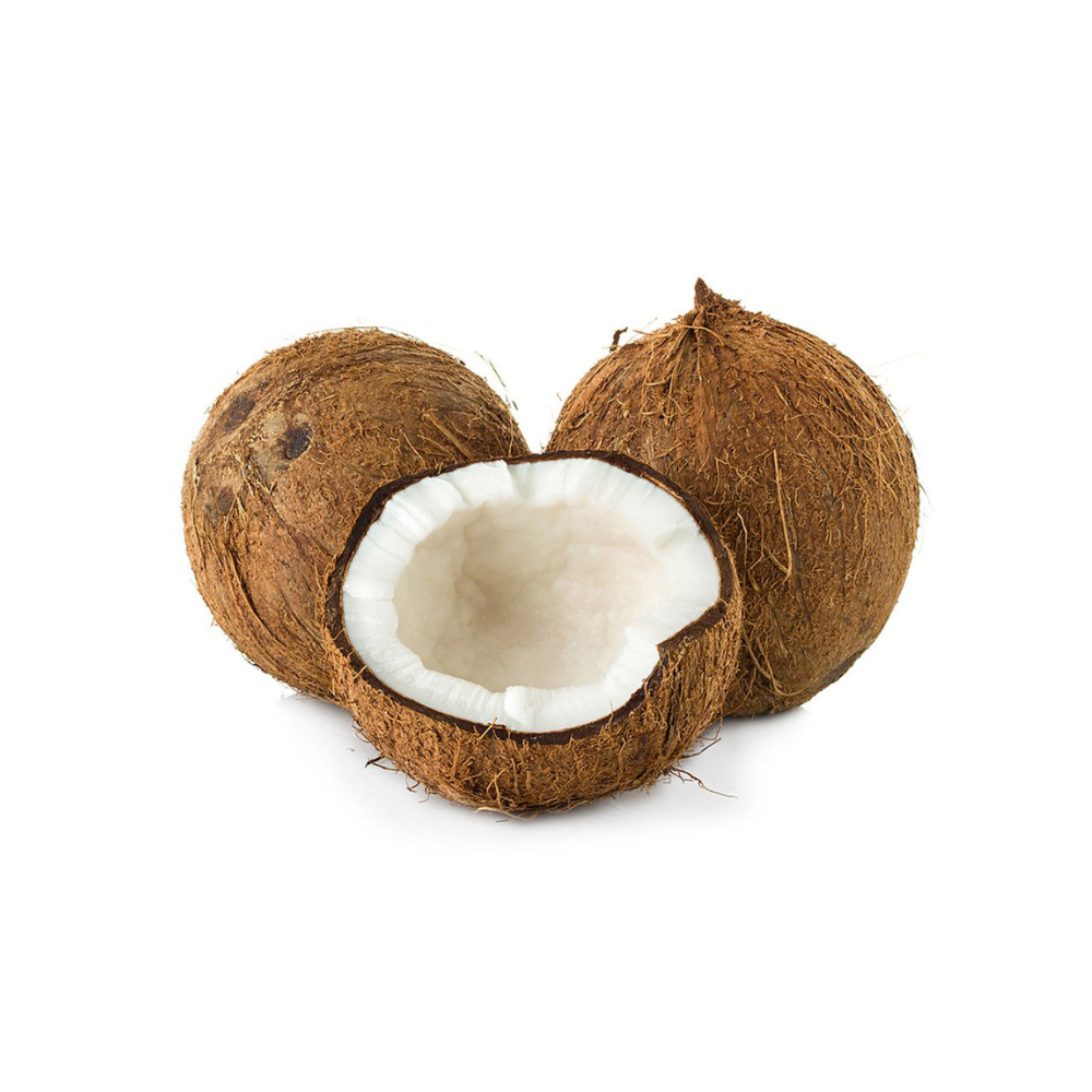 BROWN COCONUT 1 pcs