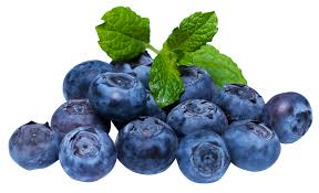 BLUEBERRY - 500gm