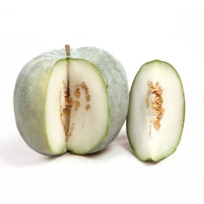 White Petha 1.3 kg- 2.3 kg