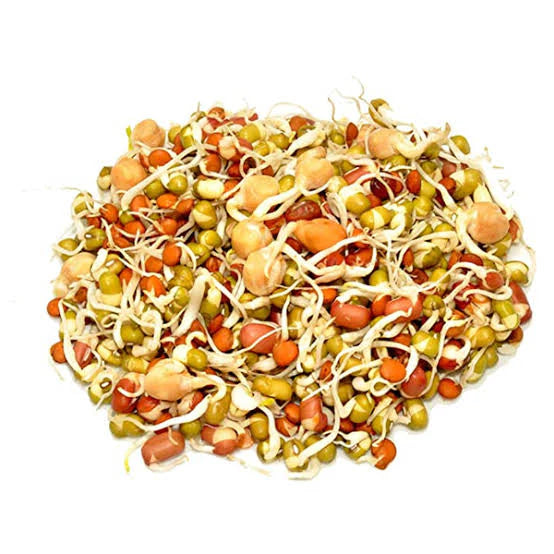 Sprout Mix 1 Pkt