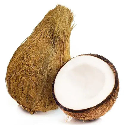 Brown Coconut 1 Pcs