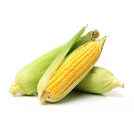 Sweet Corn - Bhutta (Whole) - (900-1kg)