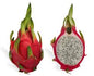 Dragon Fruit  1 Pcs