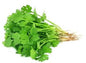 Coriander (Dhania)Approx - 100gm-120gm