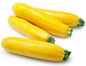 Zucchini - yellow 1 pcs(100-250 gm )