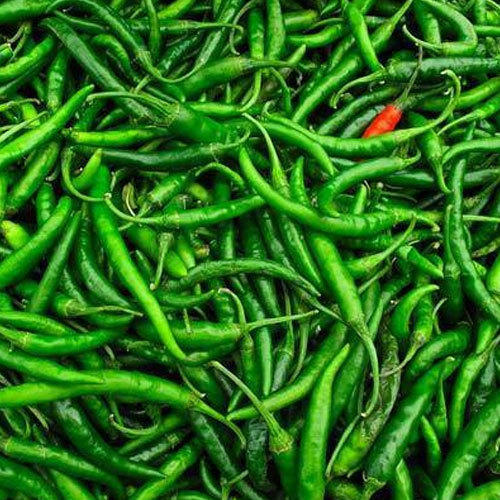 Green Chilli 100gm