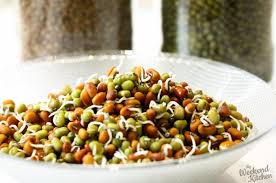 SPROUTS MOONG - 1 piece