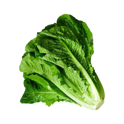 LETTUCE 100-200 gm
