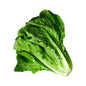 LETTUCE 100-200 gm