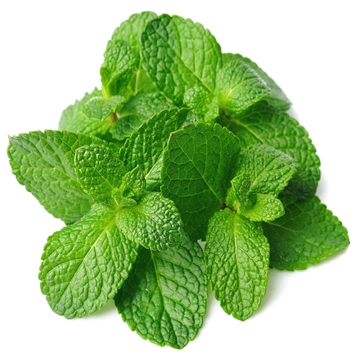 Pudina (MInt) 100 gm