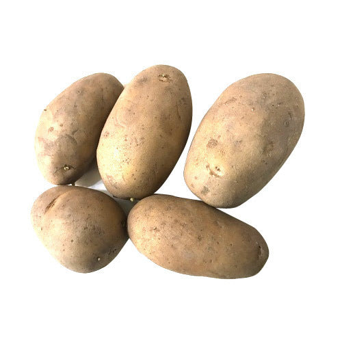 POTATO SURYA - 980gm-1kg