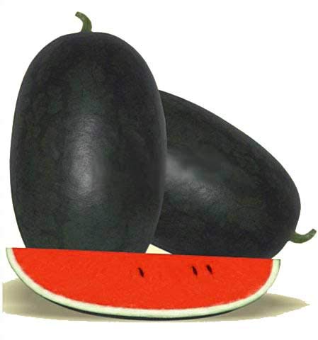 Watermelon Tarbooz - 1 Kg